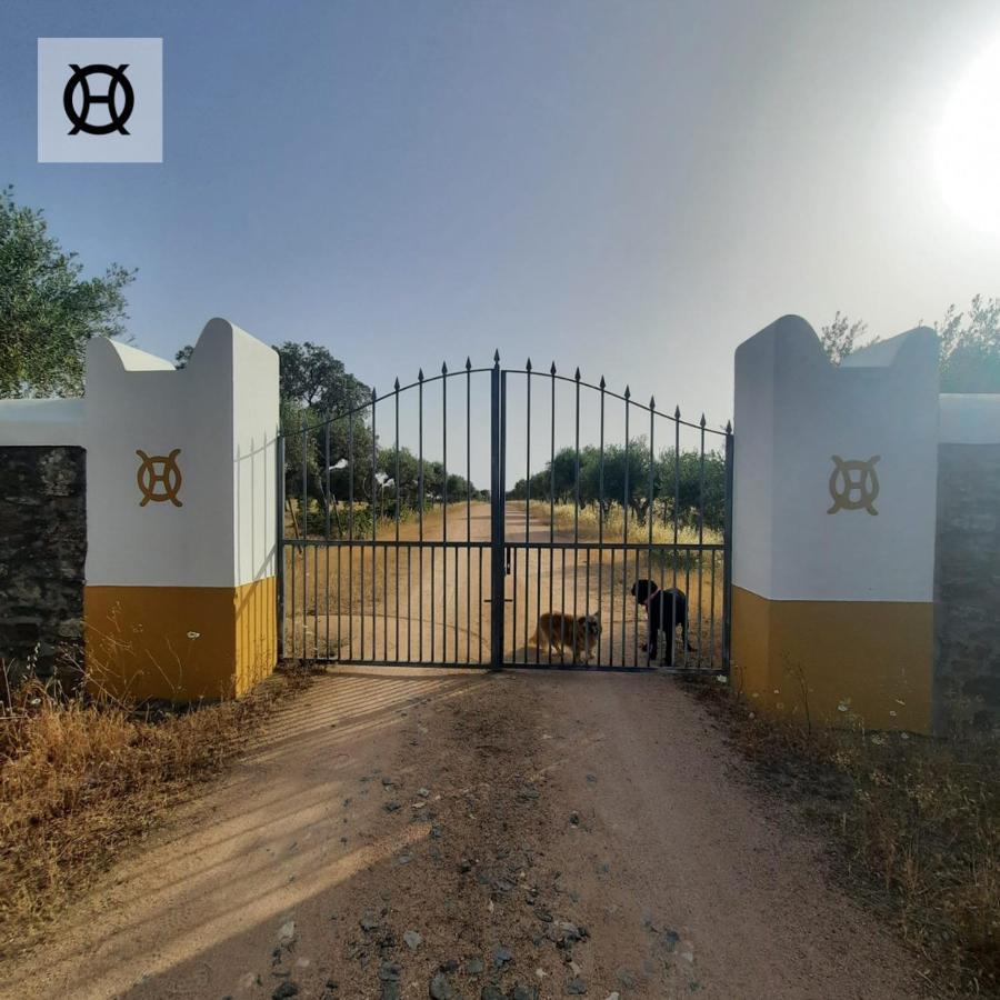 Herdade Da Ordem Cabeço de Vide Exterior foto